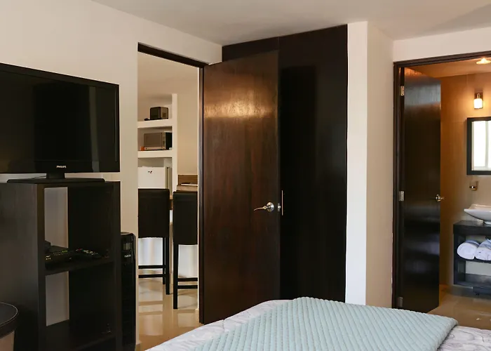 259 Condesa